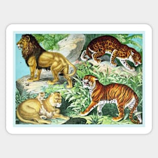 Big Cats Sticker